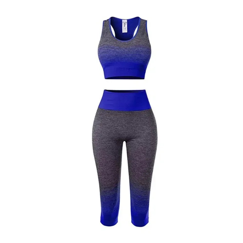 2 Piece Seamless Yoga sport Suit