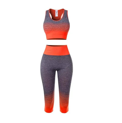 2 Piece Seamless Yoga sport Suit