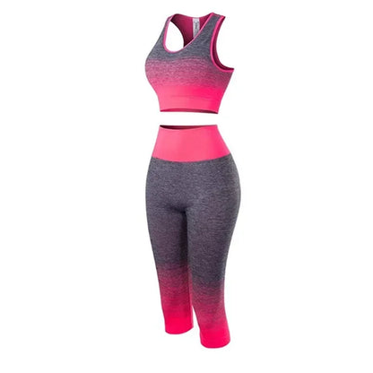 2 Piece Seamless Yoga sport Suit