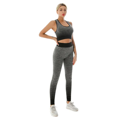 2 Piece Seamless Yoga sport Suit