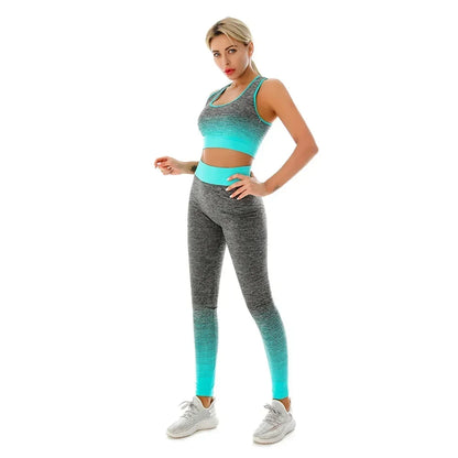 2 Piece Seamless Yoga sport Suit