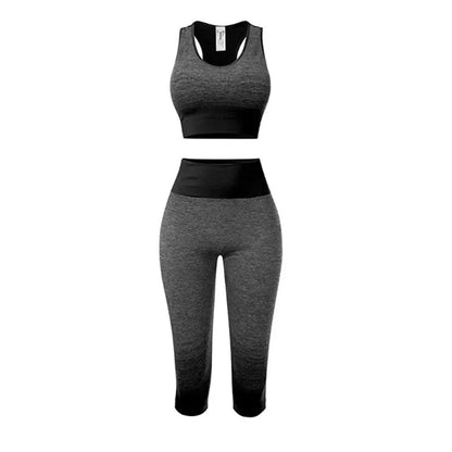 2 Piece Seamless Yoga sport Suit